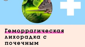 Облкомобразования о профилактике геморрагической лихорадки